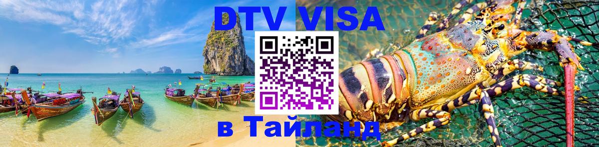 Сколько стоит DTV виза — актуальные цены, оформление даже без документов - Саратов 